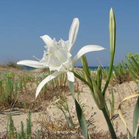 Stella Appartamento بوليكورو المظهر الخارجي الصورة